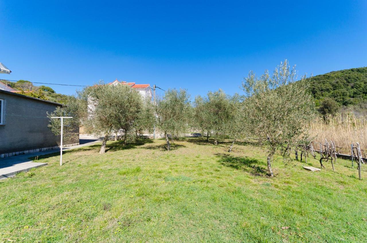 Apartments Vesna Kampor Kültér fotó